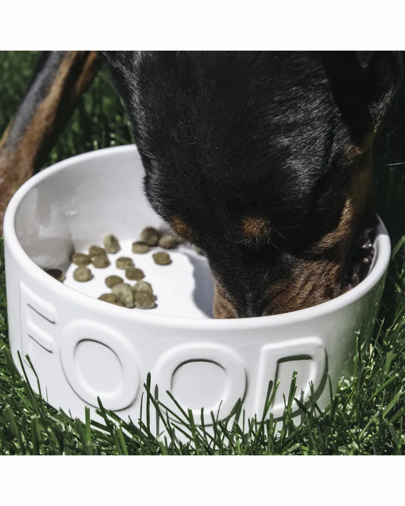 Classic Food Ceramic Pet Bowl in White (FINAL SALE)