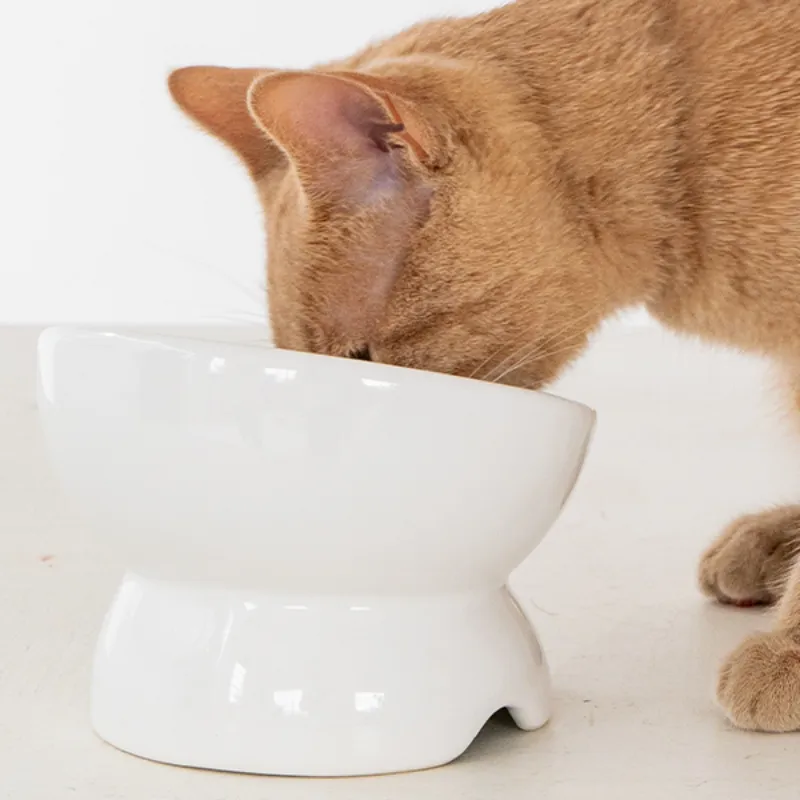 Dexypaws Cat Elevated Ceramic Bowl