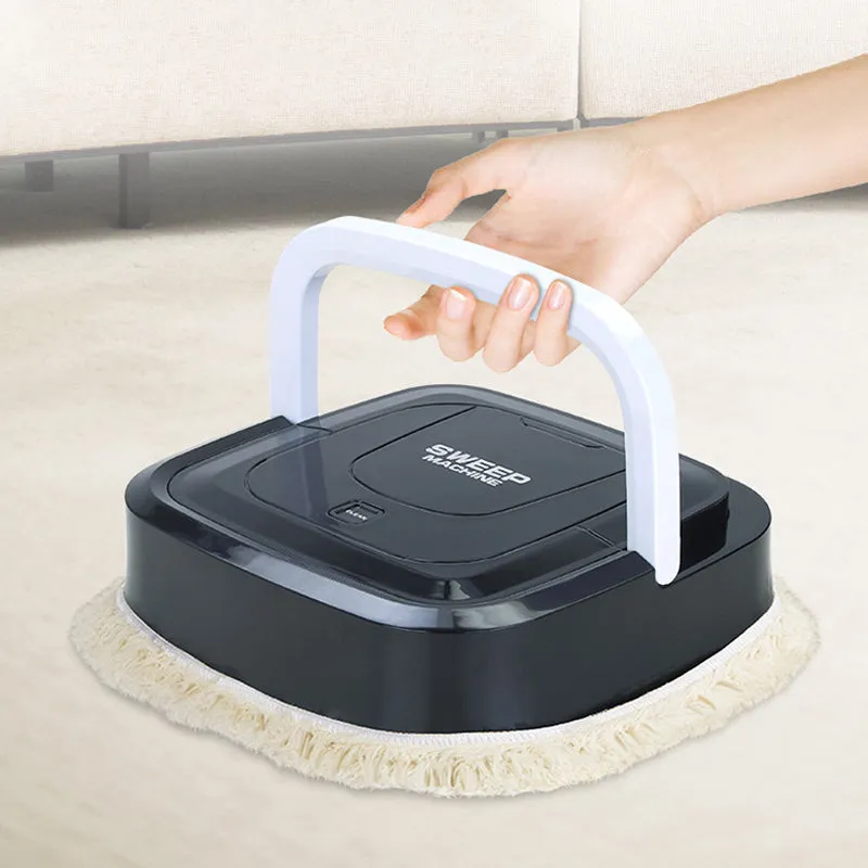 Intelligent Portable Sweeping Robot