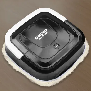 Intelligent Portable Sweeping Robot