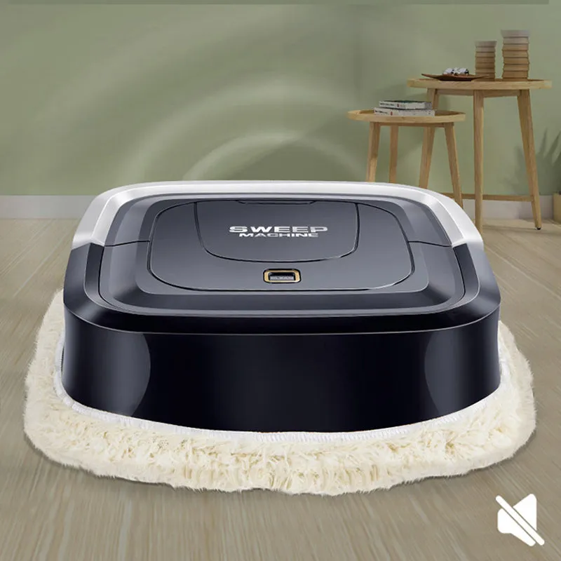 Intelligent Portable Sweeping Robot